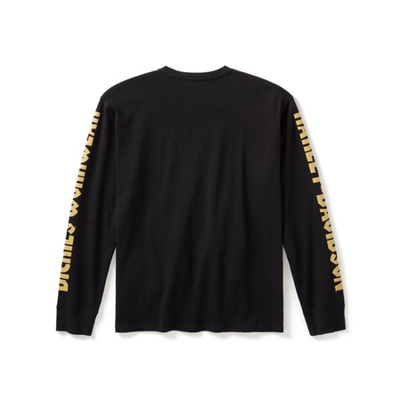 KOSZULKA HD X DICKIES