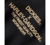ODZIEŻ HOODIE-DICKIES,KNIT,EAGLE SLEEVE,BLACK